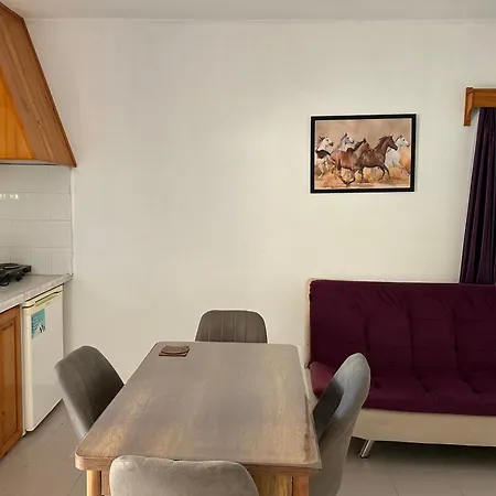 Ege アパートホテル